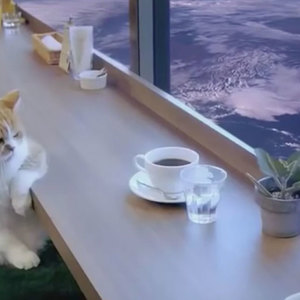 AndrewKennedy's avatar